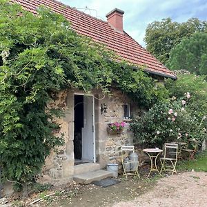 Gite Charme & Confort Avec Piscine, Terrasse, Jardin Clos, Pres De Neris Les Bains, Animaux Acceptes - Fr-1-489-344 Villa Terjat Exterior photo