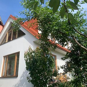 Cosy Family House With Garden, 12 Min From The Center Villa Prag Exterior photo