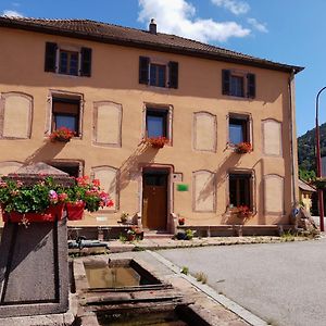 La Maison Du Vannier Bed and Breakfast Raon-les-Leau Exterior photo