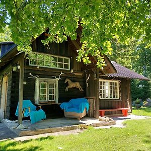 Puise Saunahouse And Outdoor Kitchen At Matsalu Nature Park Villa Exterior photo