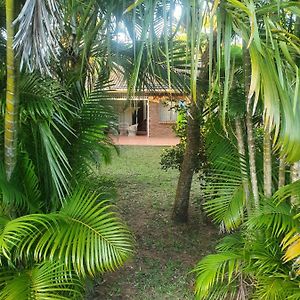 Whispering Palms St Lucia Lejlighed Exterior photo