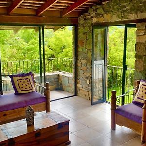 Casa Camino A Las Pozas Bed and Breakfast Xilitla Exterior photo