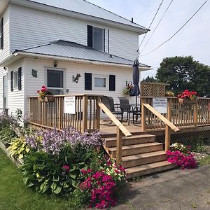 The Coastal Country House In New Brunswick Pensionat Cape Tormentine Exterior photo