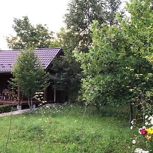 Галіція Villa Byalobereska Exterior photo