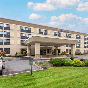 Comfort Inn Binghamton I-81 Exterior photo