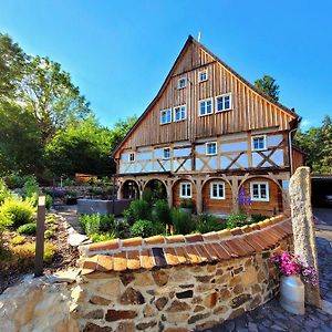 Pferdehof Am Burgsberg, Ferienzimmer, Monteurzimmer Lejlighed Seifhennersdorf Exterior photo