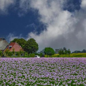 Oppe Klincke Lejlighed Franeker Exterior photo