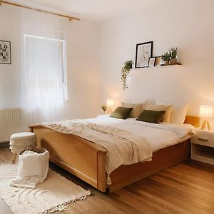 Cozy 2-Bedroom Boho-Themed Home Caransebeş Exterior photo
