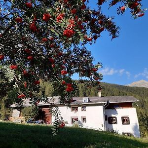 Fuldera Daint Chasa Zanoli Whg Im Zweiten Stock Lejlighed Exterior photo