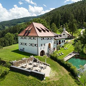 Ansitz Fonteklaus Hotel Laion Exterior photo