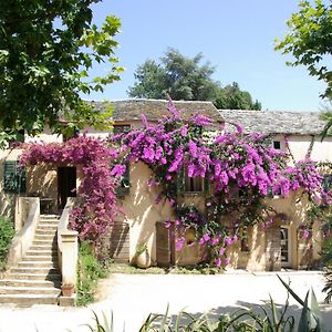 Domaine De Valle Bed and Breakfast Sorbo-Ocagnano Exterior photo