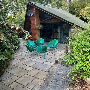 The Shed . A Cosy, Peaceful, 96% Recycled, Chalet. Lejlighed Swansea Exterior photo