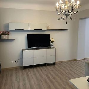 Just Renovated 2 Room Apartment Near The Palace Jēkabpils Exterior photo