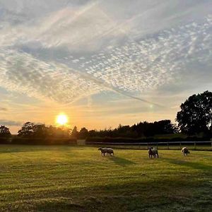 Sunset View A Quiet And Romantic Rural Retreat For 2 Adults Just Outside Ingleton Lejlighed Ingleton  Exterior photo