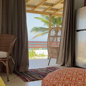 Casita Del Mar Oceanfront Romantic Retreat In Islote Lejlighed Arecibo Exterior photo