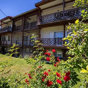 Ξενοδοχειο Παπαναγιωτου Hotel Neraïdochóri Exterior photo