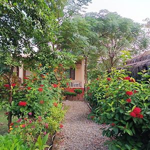 Crocodile Safari Camp Hotel Chitwan Exterior photo