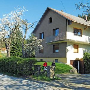 Haus Hollerbusch Lejlighed Neunburg vorm Wald Exterior photo