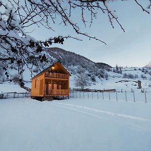 Wood House Pensionat Mestia Exterior photo