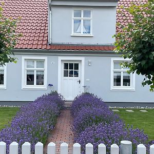 Haus Vicus Lejlighed Greifswald Exterior photo