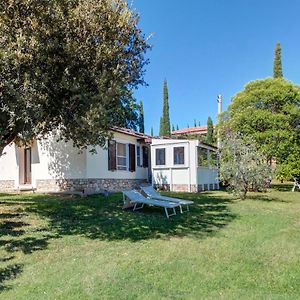 Artemisia Negli Ulivi B&B Magliano in Toscana Exterior photo