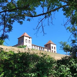 Chateau De Gorze Lejlighed Germolles-sur-Grosne Exterior photo