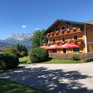 Pension David Hotel Puch bei Hallein Exterior photo