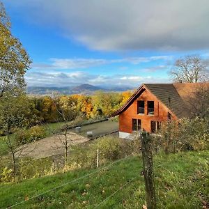 Wunderschoenes Gaestehaus Mit Grandioser Aussicht Lejlighed Gempen Exterior photo