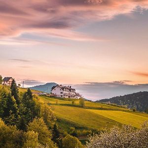 Blizej Nieba Bed and Breakfast Skrzydlna Exterior photo