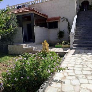 Family Studio Lejlighed Wadi Musa Exterior photo