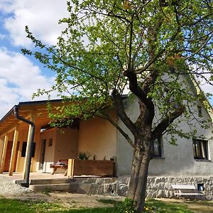 Ubytovani V Sadu Lejlighed Stara Cervena Voda Exterior photo