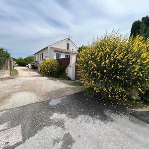 Le Chalet De Lou Lejlighed Sarrians Exterior photo