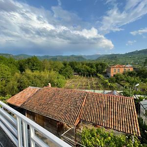 Zaali'S Wine Cellar Bed and Breakfast Vani Exterior photo