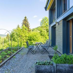 Eco-Gite Dans Chalet Neuf Au Pied Lejlighed Habère-Poche Exterior photo