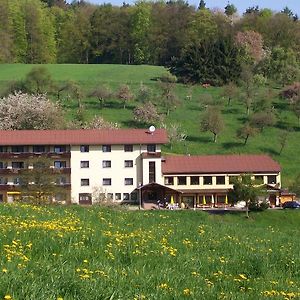 Dornroeschen Hotel Höchst im Odenwald Exterior photo