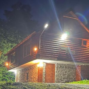 Log Cabin 1 Merdovic Bed and Breakfast Mojkovac Exterior photo