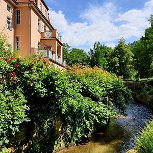 Arthouse Am Kurpark Bad Schandau Lejlighed Exterior photo