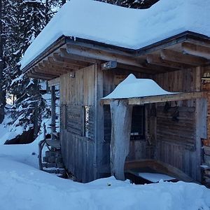 Almhuette - Skihuette Am Goldeck In Kaernten Lejlighed Baldramsdorf Exterior photo