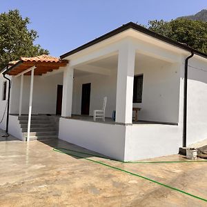 Guest House Sakollari Polican Exterior photo