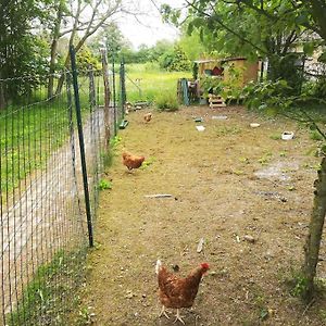 La Ferme Du Petit Chavernay Villa Meslay-le-Vidame Exterior photo