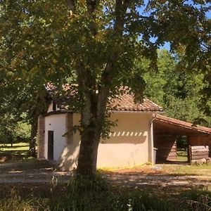 Eco-Gite En Pleine Nature Lejlighed Lisle-sur-Tarn Exterior photo