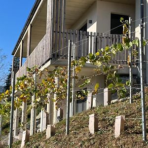 Haus Nebel Villa Oberhaag Exterior photo