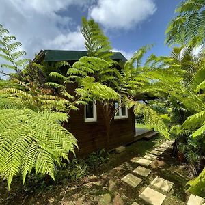 Bungalow A Flanc De Colline Villa Le Morne-Rouge Exterior photo