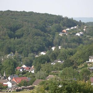 Rech Hof Eifel Urlaub Villa Schalkenbach Exterior photo