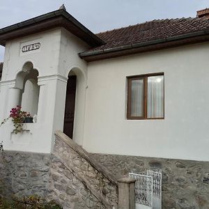 Casa Barbulescu Lejlighed Vaideeni Exterior photo