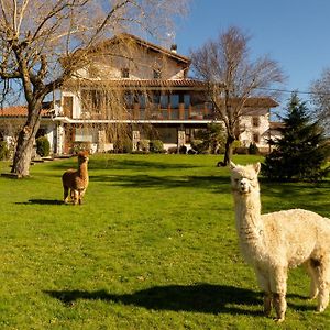 Casa Rural Flor De Vida - B&B Lizaso Exterior photo