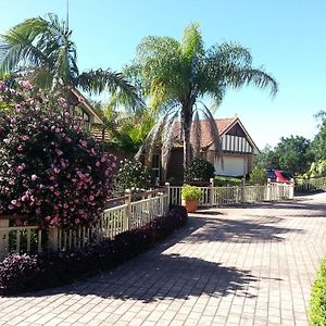 Tranquil Garden Hideaway Lejlighed Ormeau Exterior photo