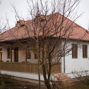 Lovely Country House In A Wonderful Garden Ion Roată Exterior photo