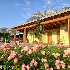 Agriturismo L' Isola Di Arturo Villa Trento Exterior photo