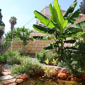 Alice Fishpond Garden Place אליס בארץ התלפיות Haifa Exterior photo